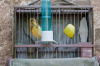 Spanien, Region Navarra, Trinidad de Arre: Vogelkfig im Innenhof der Klosterherberge