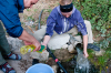 San Anton: Zwei Pilger machen den Abwasch spartanisch an einem eiskalten Bach