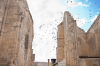 San Anton: Tauben fliegen durch die Ruine der Antoninerkirche