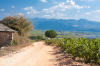 Villafranca del Bierzo: Weg durch malerische Weinlandschaft