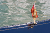 Italien, Venedig:  Kleine, goldene Figurine mit Flagge auf einer Gondel