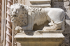 Italien, Umbrien, Perugia: Lwenfigur am Eingang des  Palazzo dei Priori
