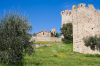 Italien, Umbrien, Isola Polvese: Eine  Frhlingswiese mit gelben Blten am Fue einer kleinen Burganlage