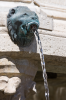 Italien, Umbrien, Perugia: Lwenkopffigur an der Fontana Maggiore 