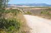 Spanien, Region Navarra: Jakobsweg hinter Cirauqui