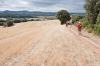 Spanien, Region Navarra: Der Weg zur Iglesia de Santa Mara de Eunate fhrt entlang abgeernteter Getreidefelder