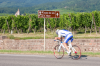 Frankreich, Elsass, Riquewihr: Ein Rennradfahrer auf der elsssischen Weinstrae