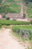 Frankreich, Elsass, Niedermorschwihr: Der Blick ber die Weinfelder auf die St. Gallus Kirche mit ihrer interessant gewundenen Turmspitze