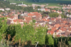 Frankreich, Elsass, Turckheim: Der Blick ber die Weinfelder auf das Stdtchen Turckheim