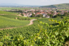 Frankreich, Elsass, Turckheim: Der herrliche Blick ber die Weinfelder auf das Stdtchen Turckheim, die Oberrheinebene und den Schwarzwald