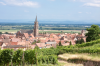 Frankreich, Elsass, Dambach-la-Ville: Blick ber die Weinfelder auf die neoromanische Kirche St. tienne
