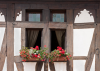 Frankreich, Elsass, Obernai: Blumen an einer Fachwerkfassade 