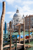 Venedig, Veneto, Italien: Blick ber den Canal Grande auf die Santa Maria della Salute