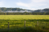 Costa Rica, Halbinsel Osa: Morgennebel ber der Landschaft