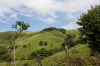 Costa Rica, Hgelige Landschaft von Monteverde