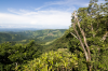 Costa Rica, Hügelige Landschaft von Monteverde