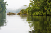 Costa Rica, Tortuguero: Kanufahrt im Parque Nacional Tortuguero