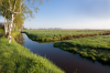 Bremen, Blockland: Weite Landschaft in der Frische des Morgens 