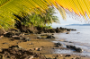 Costa Rica, Bahia Drake: Strand unter Palmen