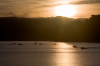 Costa Rica, Bahia Drake: Sonnenaufgang ber der Bucht