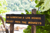 Costa Rica, Nationalpark Manuel Antonio:  Hinweisschild - Do not feed the monkeys, am Rande des Nationalparks