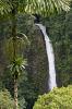 Costa Rica, La Fortuna: Wasserfall La Catarata de la Fortuna