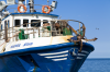 Kroatien, Istrien, Rovinj: Der Bug eines Fischerbootes im Hafen
