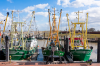 Ditzum: Krabbenkutter im  Muhdehafen von Ditzum