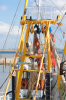 Ditzum: Krabbenkutter im  Muhdehafen von Ditzum