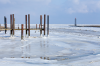 Fedderwardersiel: Dalben im zugefrorenen Hafen 