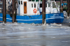 Fedderwardersiel: Krabbenkutter im zugefrorenen Hafen