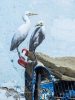 Zwei Silberreiher warten auf einem Einkaufswagen auf Fischreste, Medina, Casablanca, Marokko